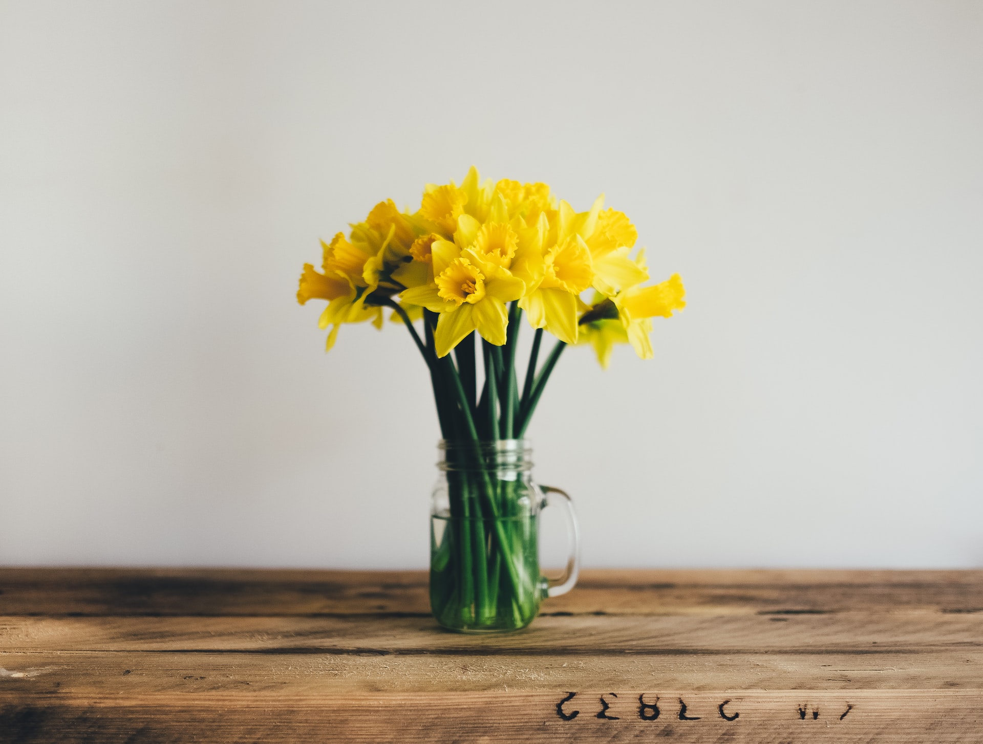 A vase with daffodils.