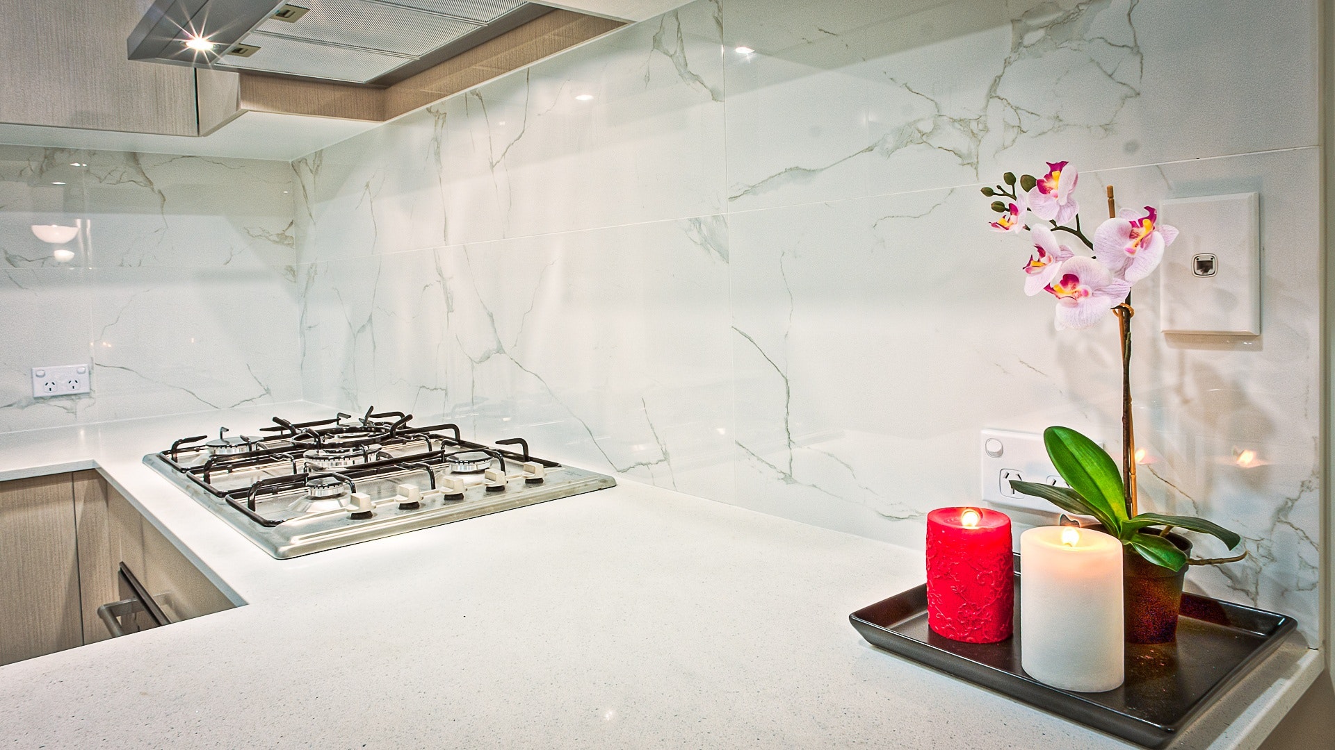 A kitchen with white cabinets and plants.