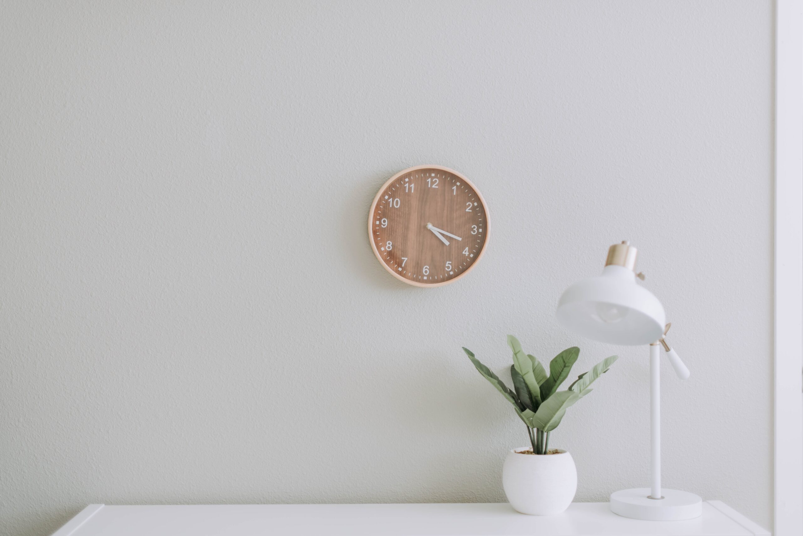 Wall clocks, a potted plant, and a desk lamp.