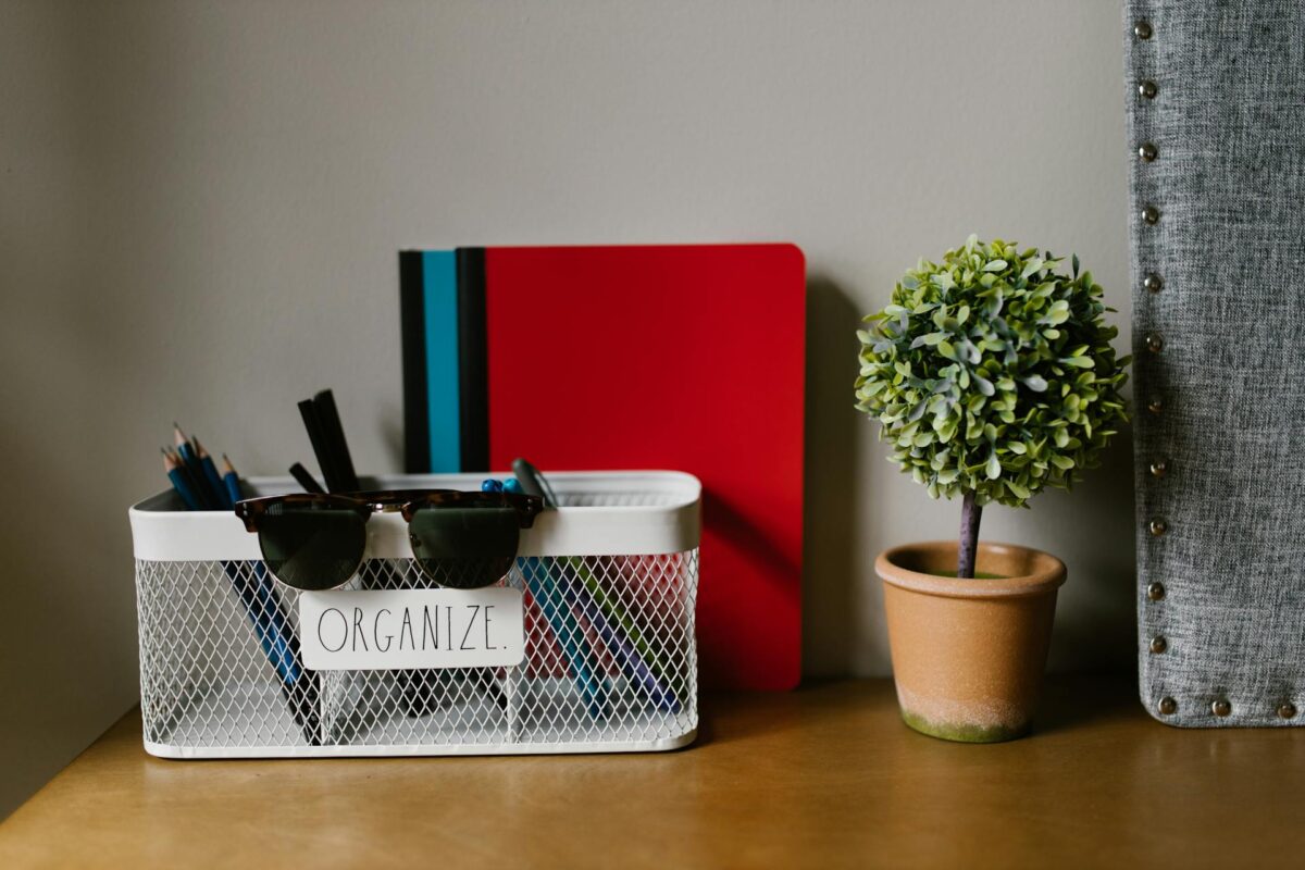 A plastic potted plant, desk organizer with ORGANIZE on it, sunglasses, blue and red notebooks